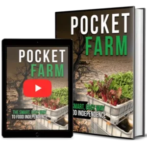 Introducing Pocket Farm’s Portable Farm-Fresh Snacks