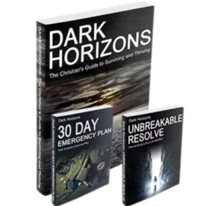 The Final Collapse! An AI End-Time Prophecy